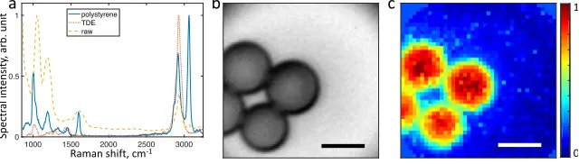 Figure 5 shows Raman spectra and images of polystyrene beads immersed in TDE. The Ramanspectrum of polystyrene can be identiﬁed despite the strong contamination of Raman backgroundof the MMF [17] and the immersion medium (see Fig