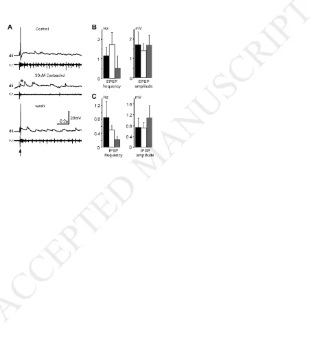 Figure 4. The effects of 30µM carbachol on dli spiking after skin stimulation and 