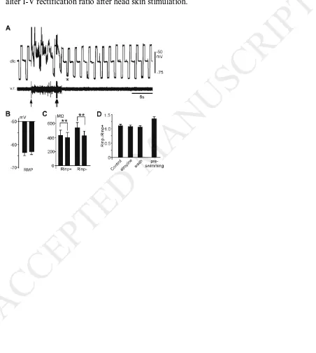 Figure 6. Modulation of the dli Rinp following repetitive head skin stimulation. A. 
