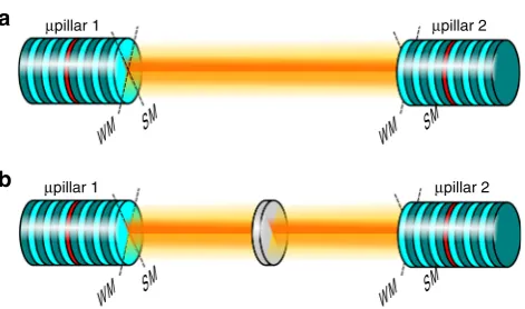 Fig. 1 Illustration of the studied experimental conmutual coupling and(polarized emission modes of each micropillar (i.e