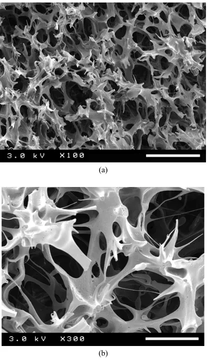 Figure 1. (a) SEM image of PVF sponge without immersion in dextran solution Fine fibers connected with each other were observed in the interior of the sponge