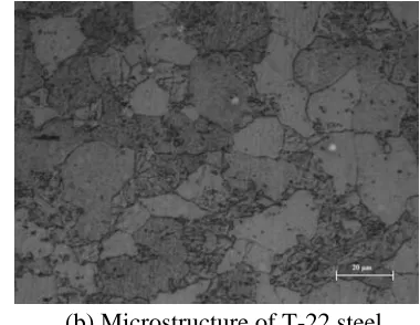 Fig. 1. Microstructure of T-91 & T-22 steel at 20x magnification. 