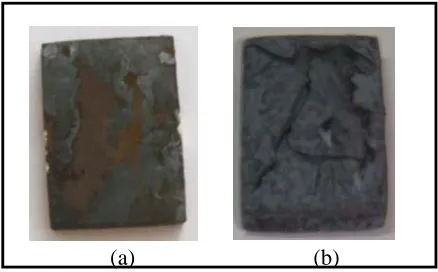 Fig. 3. Macrograph of (a) T-91 air oxidised sample (b) T-22 air oxidised sample. 