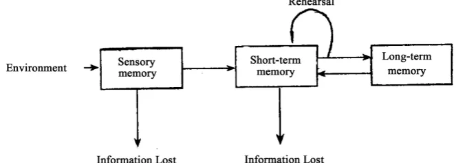 Figure 3. Human memory system. 