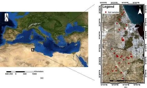 Figure 1. Location of the study area (a) Composed MODIS image of Mediterranean sea from 2005 (b) Sentinel_2 image of south-ern Tunisia 2018
