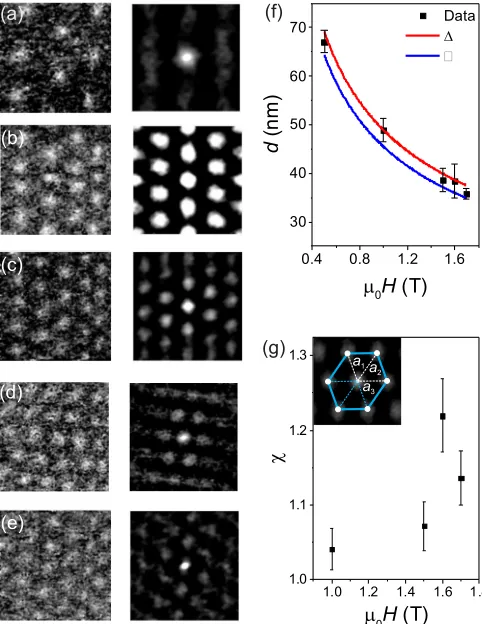 FIG. 3. (a)–(e) Maps of the zero-bias tunneling conductance at