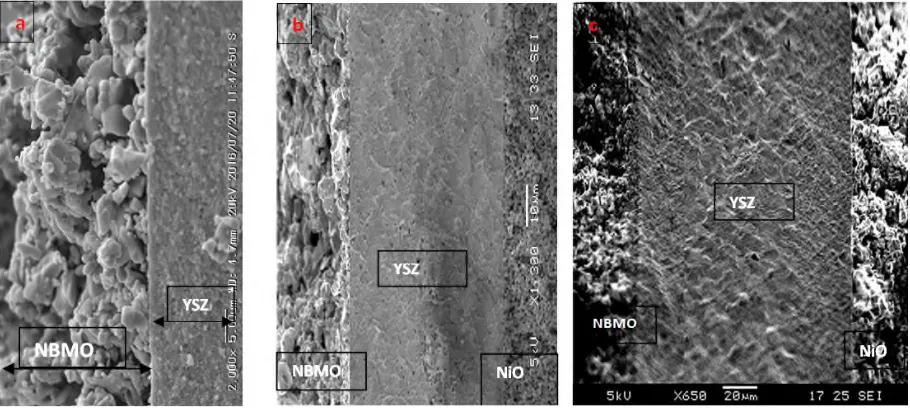 Fig. 3.SEM of the NdBaMn2O5.sample exhibiting nanoparticle exsolution.
