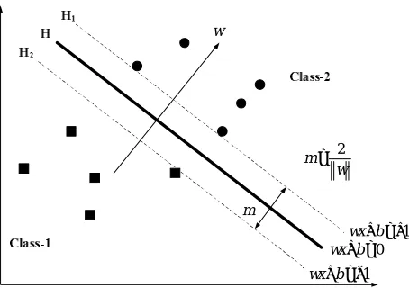 Figure 4. Optimal separating hyper plane. 