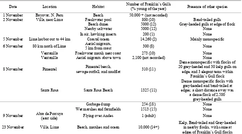 Table 1. Observations of Franklin’s Gulls (Larus pipixcan) from Peru (November 2008). Young of the year accounted for ??% of the gulls (where counts could be made visually and from photographs)