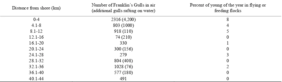 Table 2. Number of Franklin’s Gulls in a coastal transect out to 44 km (Lima, Peru, November 5, 2008)