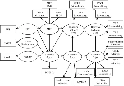 Figure 1. Hypothesized structural equation modeling 