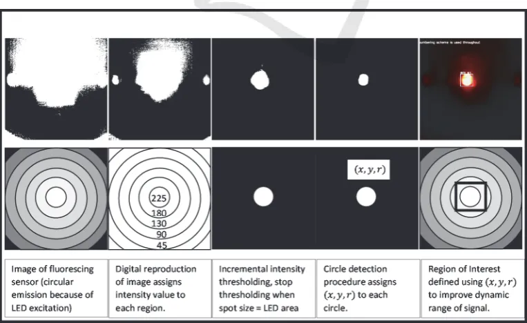 Figure 4: Flowchart for image processing.