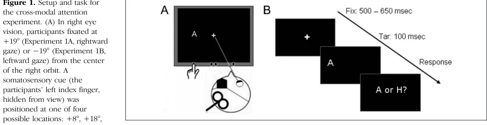 Figure 1. Setup and task for