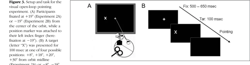 Figure 3. Setup and task for the