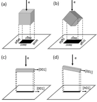 Figure 1. (a) TEM image of part of a fishbone-like particle showing lollipop-like secondary branches and sub secondary branches of Mg2SiO4 with Coparticles at the ends