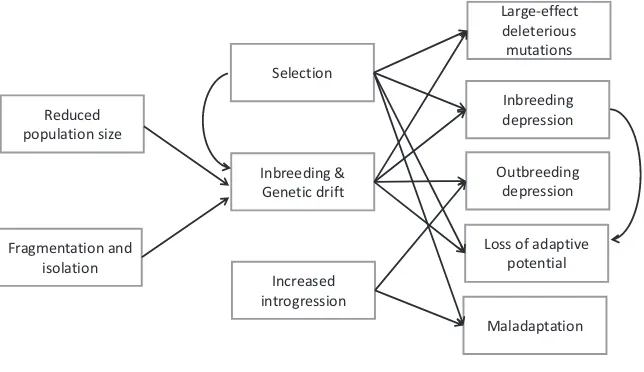 FIGURE 1 Drivers, mechanisms and 