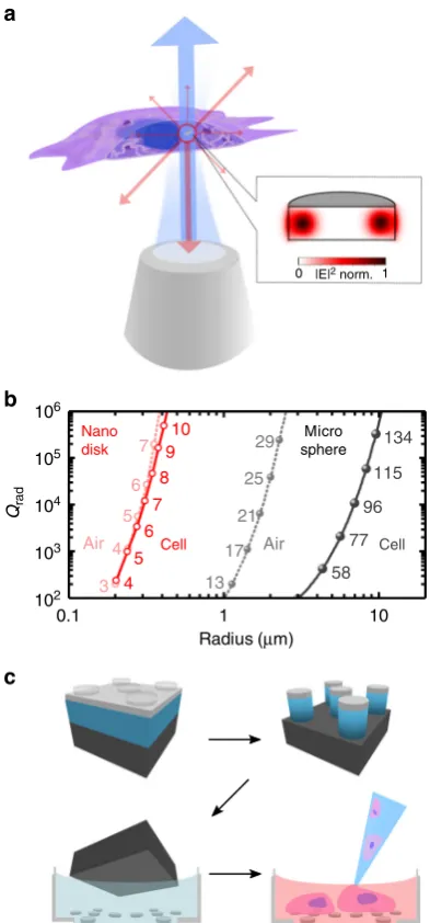 Fig. 1 Concept and modeling of intracellular nanodisk lasers.a semiconductor nanodisk laser internalized into a cell