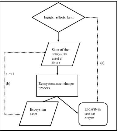 Figure 1 Conceptual model linking ecosystem outputs, inputs and assets 