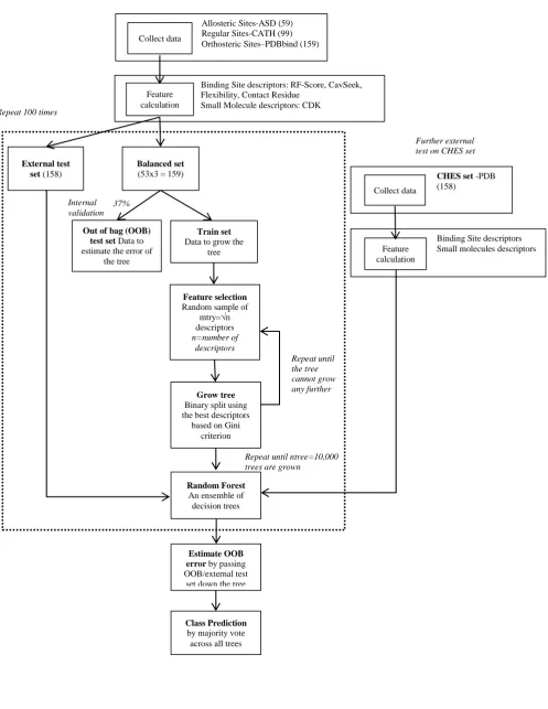 Figure 2 – Flowchart of the model development scheme 