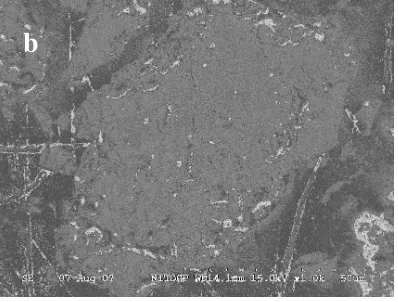 Figure 5a. Electron Micrograph of Heat treated slag (showing crack on the surface) 