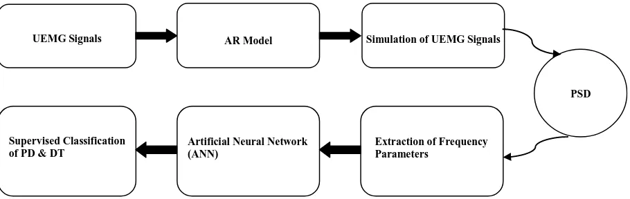 Figure 1. Block diagram showing sequence of work from obtaining uterine EMG signals, AR Modelling, simulation of original signals, extraction of frequency parameters and finally supervised classification of term and preterm labor using ANNs
