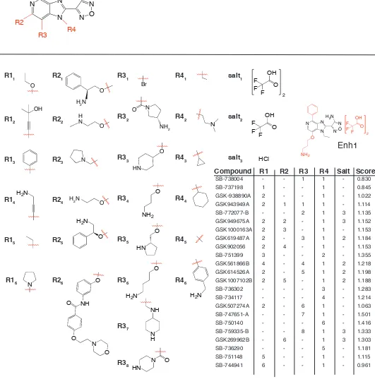 Figure S1. Structures and activities of compounds related to Enh1. 