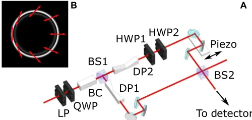 Fig. 1. The generalized total angular momentum of light. (ization by different angles, in this case using two polarization-preservingDove prisms (DP1 and DP2) to rotate the image by 180° and two halfplates (HWP1 and HWP2) to rotate the polarization by 90°