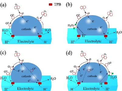 Fig. 1 The transfer mode in H-SOFC cathode. 