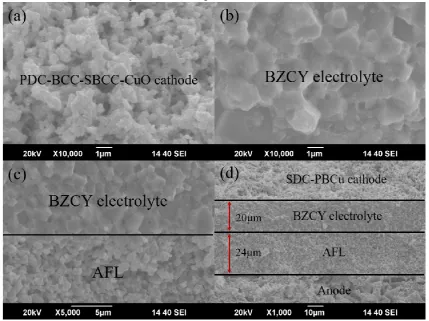 Fig. 5 Cross-section SEM images of (a) PDC-BCC-SBCC-CuO cathode layer, (b) BZCY electrolyte layer, (c) the interface between 