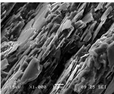 Figure 5. SEM:  Liquid nitrogen fractured, 50 phr WGM SIL Mica filled PVC Composite. 