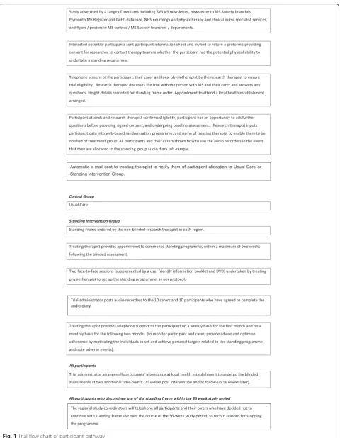 Fig. 1 Trial flow chart of participant pathway