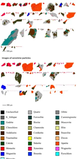 Figure 1. MLA images of monazite and xenotime particles. 