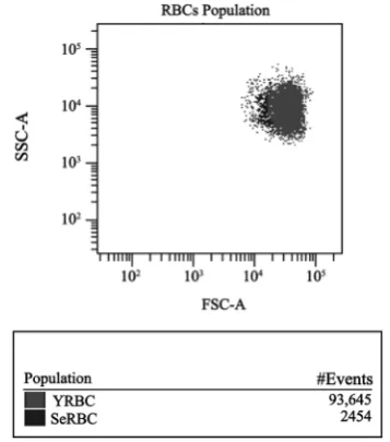 Figure 1. Dot-plot of whole blood with the analysis strategy used to evaluate RBCs from different ages