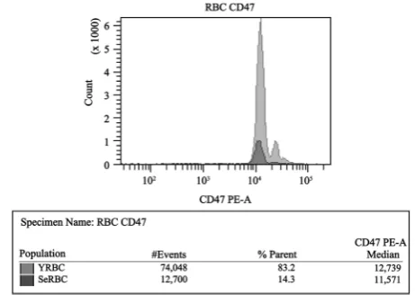 Figure 3. Dot-plot of whole blood with the analysis strategy used to evaluate C3+ RBCs in populations from different ages