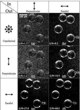 Fig. 5. 100 µm scattering spheres in a 10% w/v gelatine medium, imaged with perpendicular- polarised illumination (central column, vertical arrow) and parallel-polarised illumination (right column, horizontal arrow), with overlay values representing signal