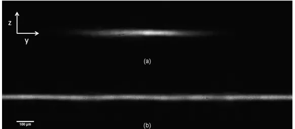 Fig. 3. Comparison of uniformity of (a) light sheet generated with just cylindrical lens and (b)  light sheet generated using a combination of a Powell lens and cylindrical lens