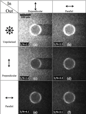Fig. 4. Normalised MCRT results, with overlay values representing signal to noise ratio (S/N)  as a figure-of-merit, showing perpendicular-polarised illumination (central column, vertical arrow) and parallel-polarised illumination (right column, horizontal