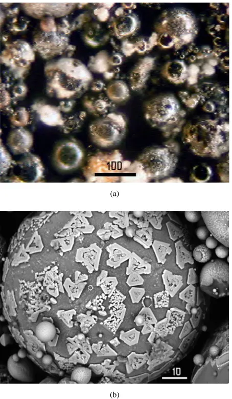 Figure 10. Aggregate from coke and glass microspheres in coarse byproduct No 1.  