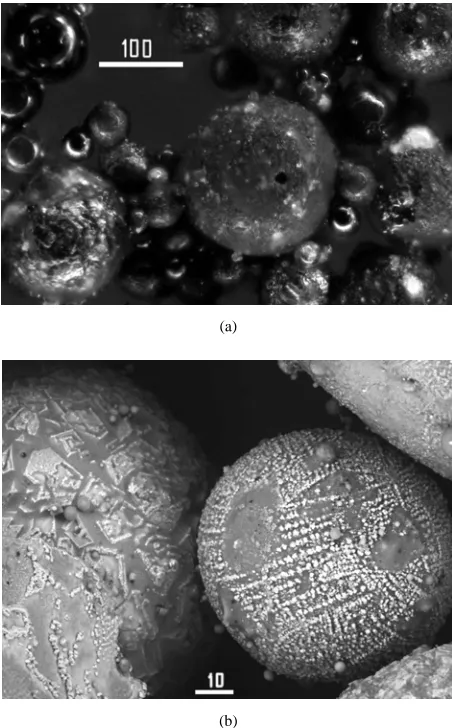 Figure 13. Optical (a) and SEM (b) images of magneto-spheres No 3.  