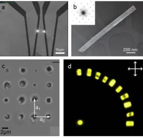 Figure 6. Optically trapped nanomaterials. (a) Optically trapped Inloaded zeolites on a glass surface