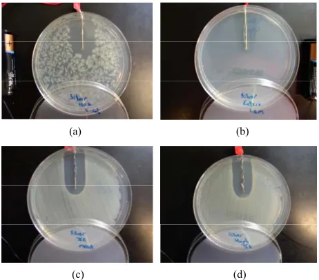 Figure 1. Proposed antimicrobial system concept. 