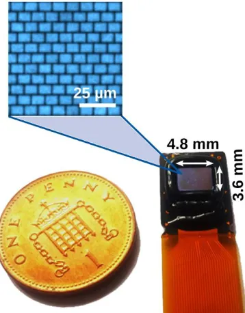 Figure 1. Photograph of OLED microdisplays used in this work, with flex-cable connector