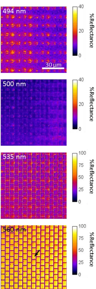 Figure 2. Images of reflectance of a section of the OLED microdisplay surface for different wavelengths of illumination