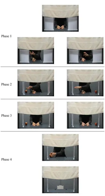 Figure 2 -  4 frames from the experimental clips. The left and right showed the flop congruent and grasping incongruent condition 