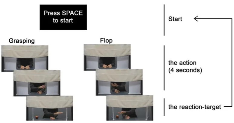 Table 3 - 1 the 6-point scale of statement rating 