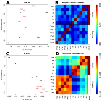 Figure 3. Wing bud gene expression analysis. A) Principal component analysis (PCA) for all C) PCA for sequences DE between flatwing and normal males; D) heat map for sample correlations using only DE sequences