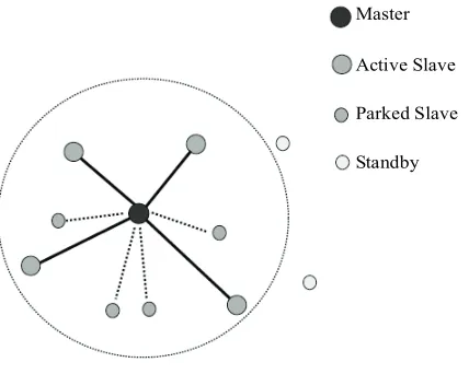 Figure 2. Piconet configuration. 