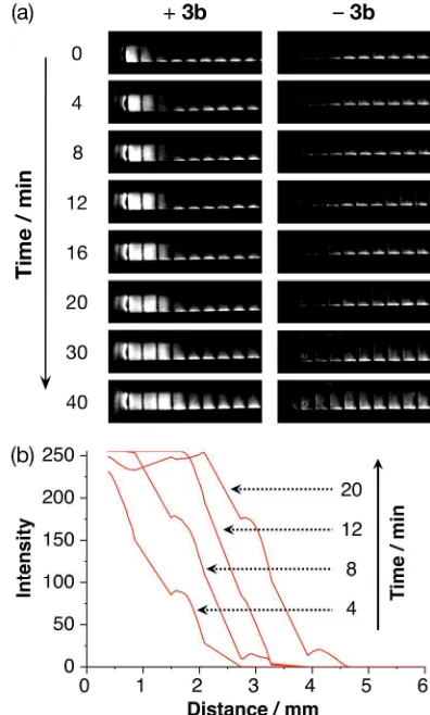Figure 3. (a) Graphical representation and (b) photograph 