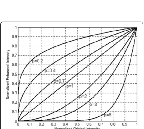 Figure 2 The framework of the proposed PNAE algorithm.