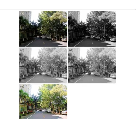 Figure 4 Result of each stage of the proposed PNAE algorithm using image acquired from digital camera